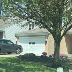 lawn service by C n C Services reviewed on September 8, 2023