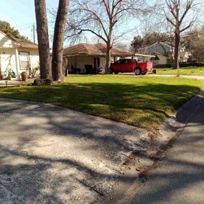 Leaf Removal by Toni Landscape Service LLC reviewed on September 12, 2025