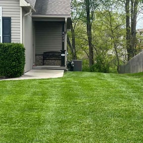 Bush Trimming by Smartyards LLC reviewed on August 19, 2025