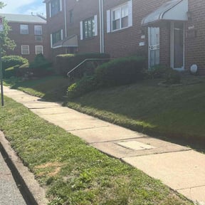 turf care by Ultimate Landscape Contractor reviewed on May 4, 2024