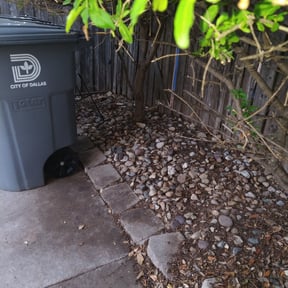 Leaf Removal by Quasny &amp; Son Landscaping reviewed on October 1, 2025