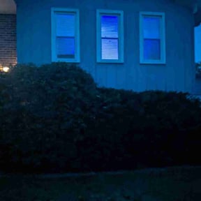 Bush Trimming by GARDENBORO LANDSCAPING reviewed on June 21, 2026