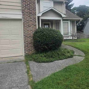 Flower Bed Weeding by Green Horizon Lawn Care reviewed on August 17, 2026