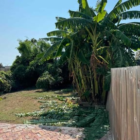 Bush Trimming by Watson Yard Works reviewed on August 17, 2025