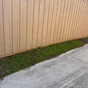 Flower Bed Weeding by Notorious landscape reviewed on December 19, 2025