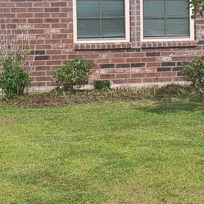 Bush Trimming by Torres Lawn Care reviewed on August 19, 2025