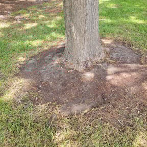 Flower Bed Weeding by A plus mow n go reviewed on August 18, 2025