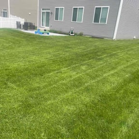 yard care by Sample Logistics Lawn Service reviewed on August 20, 2025