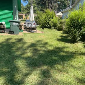turf maintenance by Smart Synergy reviewed on October 8, 2023