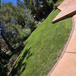 Bush Trimming by Riverview Lawn Care reviewed on October 30, 2023