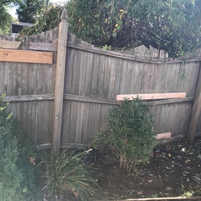 Flower Bed Weeding by Just Keep Mowing reviewed on August 16, 2025