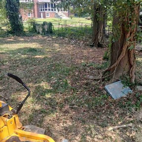Bush Trimming by Kingdomvision lawncare reviewed on August 29, 2026
