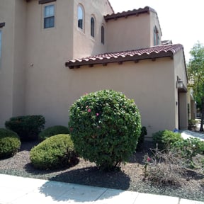 Bush Trimming by Allens lawncare LLC  reviewed on August 20, 2025