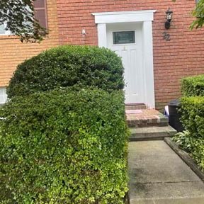 Bush Trimming by Green haven lawn care reviewed on October 20, 2025