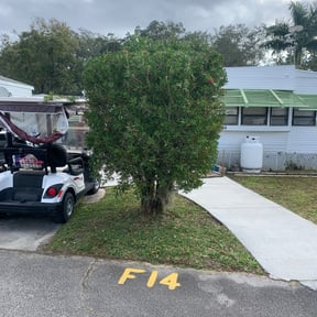 Bush Trimming by Robert Dukes Kut Pro Lawn Maintenance reviewed on August 17, 2025