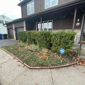 Bush Trimming by Green peppermint reviewed on November 18, 2025