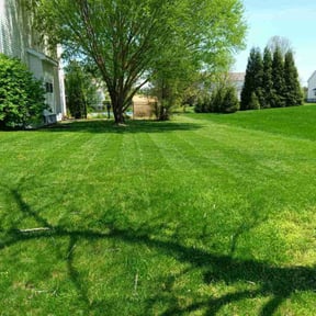residential landscaping by EasyOutdoor reviewed on August 20, 2025
