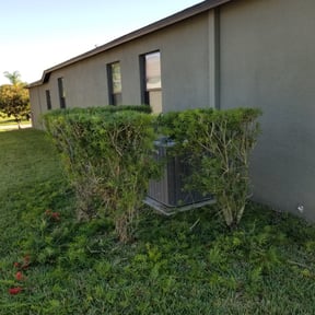 Bush Trimming by Green goat reviewed on August 16, 2025