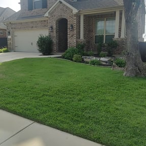 Long Grass Cleanup by Lo Lo's Landscaping reviewed on August 19, 2025