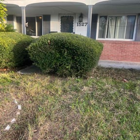 Bush Trimming by 911 Pro Lawn Care reviewed on December 2, 2025