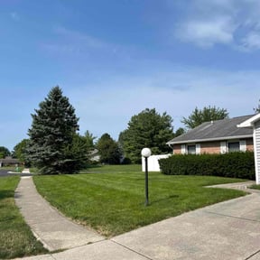 yard work by Drayton Boys Lawn Service reviewed on August 14, 2025