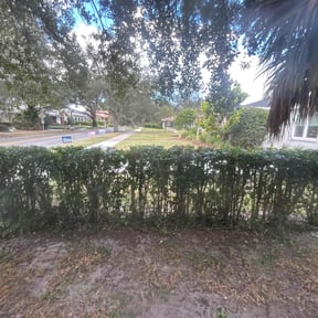 Bush Trimming by All Services reviewed on December 1, 2025