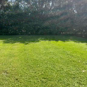 yard work by Nero’s Removal Co reviewed on August 21, 2025