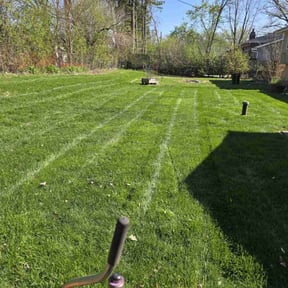 landscape maintenance by Vazquez Lawncare reviewed on August 17, 2025