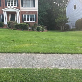 landscape maintenance by The Bilingual Landscape Artist reviewed on August 20, 2025