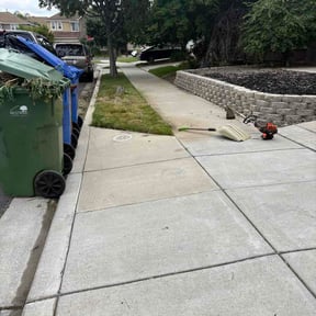 Bush Trimming by Pro Services reviewed on May 12, 2026