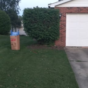 Bush Trimming by Pringle's landscaping llc. reviewed on August 21, 2025
