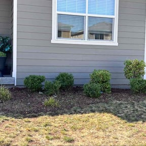 Bush Trimming by Tyler&#039;s Touch Lawn Care reviewed on October 23, 2025