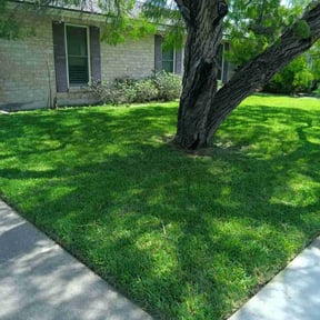 yard maintenance by Integrity Landscaping LLC reviewed on November 22, 2025