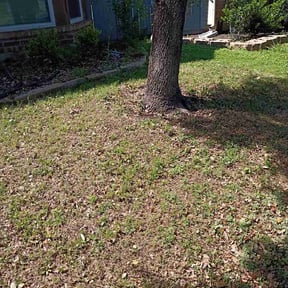 Leaf Removal by A n R lawn service reviewed on May 5, 2026
