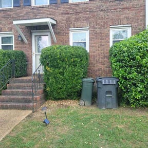 Bush Trimming by Keep it Loe Lawn Service reviewed on August 21, 2025
