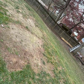 Leaf Removal by EV Great Valley Landscaping,LLC. reviewed on September 7, 2023