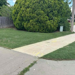 yard care by Midplains Properties LLC reviewed on August 17, 2025