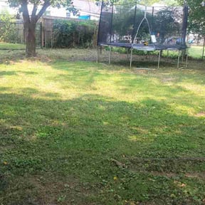 Leaf Removal by Ground up landscaping reviewed on September 14, 2025