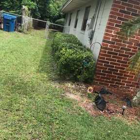 Bush Trimming by Ihandy2you reviewed on August 17, 2025