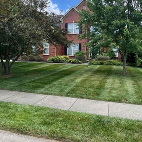 grass maintenance by J&amp;M Landscaping reviewed on April 15, 2024