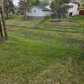 Leaf Removal by Richard Enterprises 2 reviewed on May 11, 2026