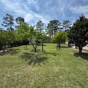 landscaping services by Family lawn Care reviewed on August 20, 2025