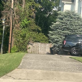 Bush Trimming by Spoolin 210 Services  reviewed on October 18, 2025