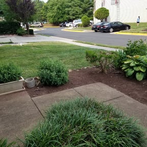 Flower Bed Weeding by Pedrito’s lawn service llc reviewed on August 13, 2025