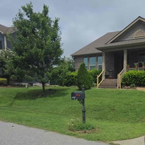 Leaf Removal by D &amp; A services reviewed on August 26, 2021