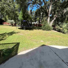 Bush Trimming by Ines lawnscaping reviewed on November 21, 2025