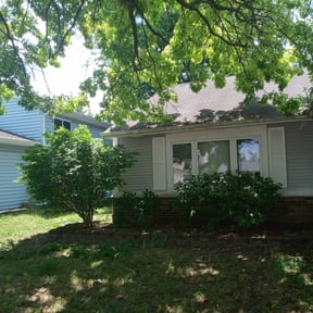 Bush Trimming by Lawn Pro reviewed on August 16, 2025