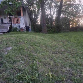 Leaf Removal by Home Medic reviewed on May 3, 2026