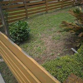 Bush Trimming by Bernulian LawnCare reviewed on April 29, 2026