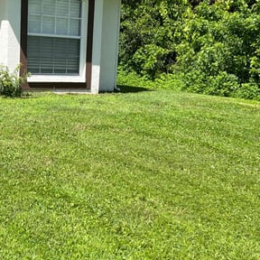 turf care by Kj's landscaping LLC. reviewed on March 27, 2024